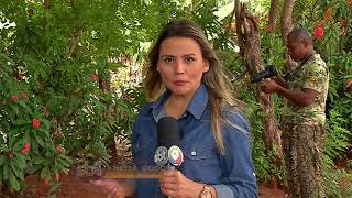 Miniatura do vídeo