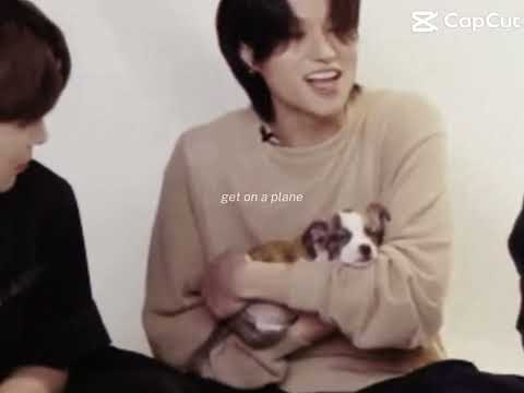 wooyoung and dog😭