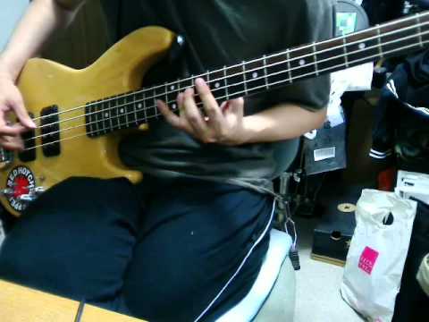 フーバーオーバー - 発展家 (Bass Cover)