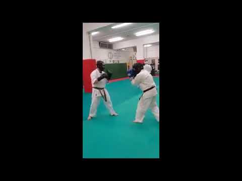 Kyokushin Karate Training with Head Punches and Grappling
