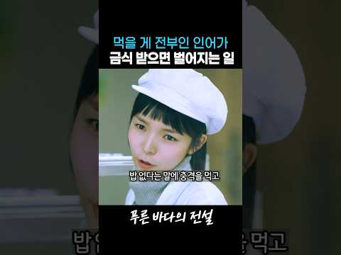 먹생먹사 인어가 금식을 받으면? #전지현 #푸른바다의전설