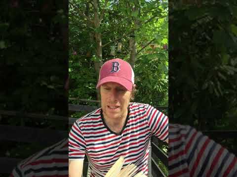 The Midnight Gang Chapter 31