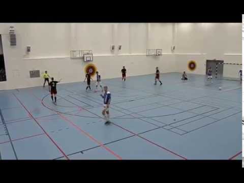 Feeniks - Riemu/2 15.11.2015 maalikooste