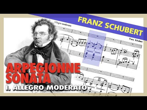 🎼 F. SCHUBERT -Arpeggione Sonata (D.821) I. Allegro Moderato - [FLUTE & PIANO] Sheet Music Scrolling