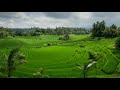 Nan Erikarai Melirunthu Song 5k Musiq Finishers Academy