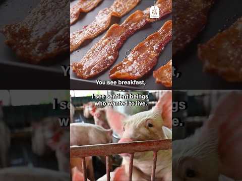 What do you see? #animals #food # #stws