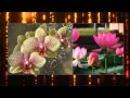 С днем рождения 