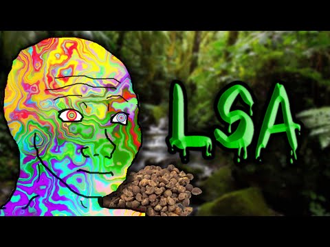 The Psychedelic Plant Seeds - LSA