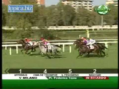 Premio Federico Tesio 2010 (GR 3)