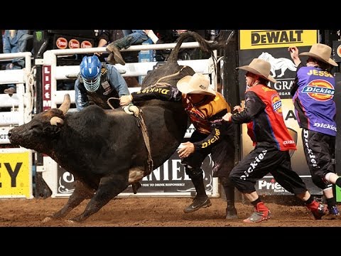 WRECK: Mike Lee hangs up on I'm a Gangster Too