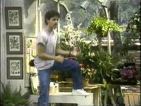 Trailer-Vorschau: Unser lautes Heim