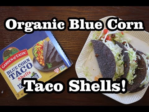 download lagu mp3 mp4 Blue Taco Shells, download lagu Blue Taco Shells gratis, unduh video klip Blue Taco Shells