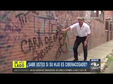 Cómo reaccionan las víctimas ante el ciberacoso