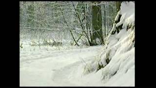 Brdr. Vesth - Veras vinterven.flv