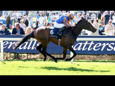 WHIRL continues Classic Trials domination for Ballydoyle in Musidora romp