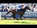 WHIRL Continues Classic Trials Domination For Ballydoyle In Musidora Romp