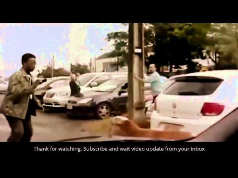 Lustige Tiere Videos Youtube: Lustige Videos von Tieren -