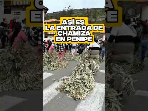 Entrada de chamizas en honor a San Francisco de Asís, Patrono de Penipe-Chimborazo. #chimborazo