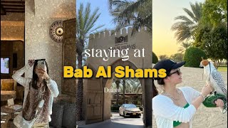 staying at an desert escape in Dubai🇦🇪 ドバイの砂漠のど真ん中にあるホテル泊まってみた🏜️🐪