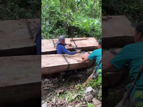 نقل الخشب على الدراجات #yamaha #bmw #casablanca #moto #maroc #bikelife #c50