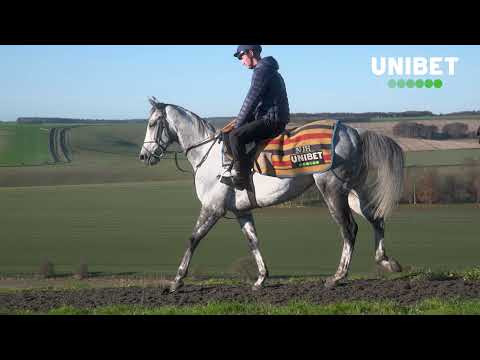 Nico de Boinville on Buzz | Cesarewitch winner runs Howden Long Walk Hurdle at Ascot
