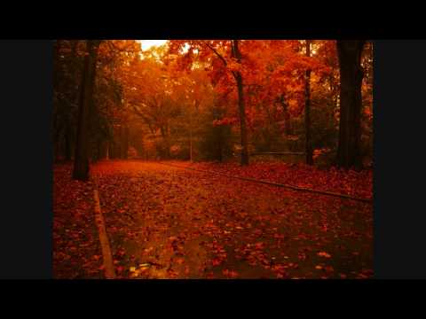 The Unseen Guest- Reduce it to a kiss