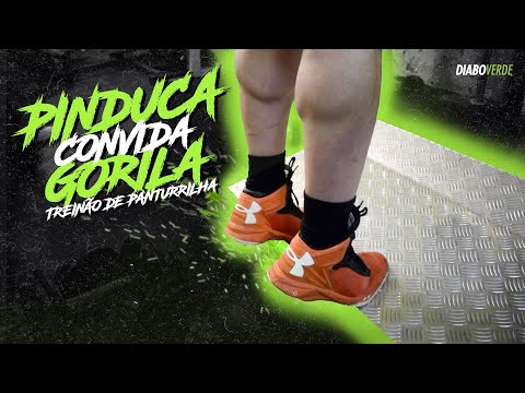PINDUCA CONVIDA GORILA #2 - TREINÃO DE PANTURRILHA