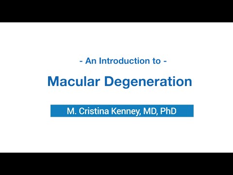 Introduction to Age Related Macular Degeneration (AMD) w/ M. Cristina Kenney, MD, PhD