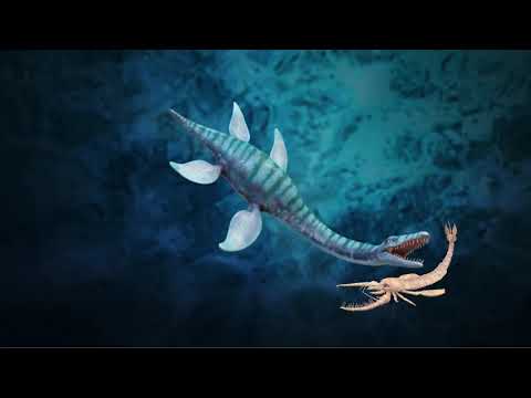 PLESIOSAURUS vs JAEKELOPTERUS | Who the Winner