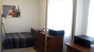 MY BLOODY VALENTINE - ONLY SHALLOW (COVER)