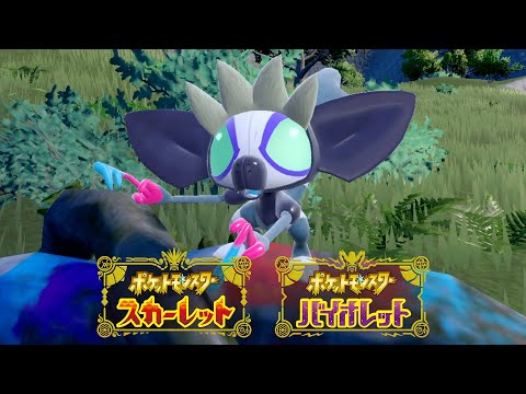 إݥåȥ󥹥 åȡХåȡپҲ֥󥰥