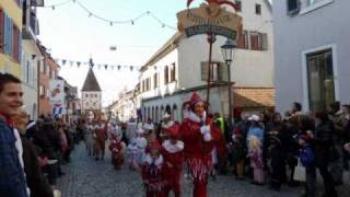 preview picture of video 'Rosenmontag  2011 in Endingen -Teil 2.'