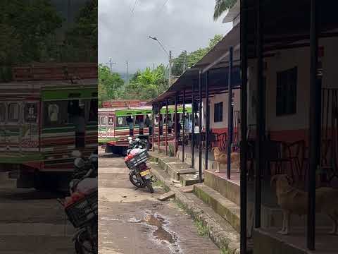 Praga Aipe Huila #colombia