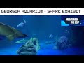 Georgia Aquarium Shark Exhibit Opening Date
