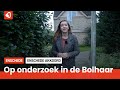 Zó schoon is De Bolhaar in Enschede!