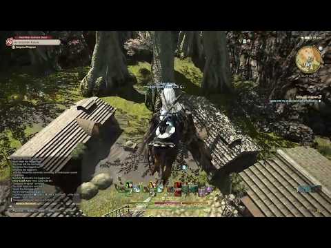FFXIV : DRG Lv58 Sanguine Dragoon - Walkthrough