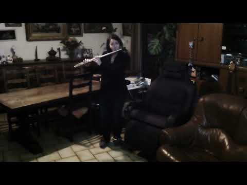 "Merzhin (Instrumental version)", flute cover