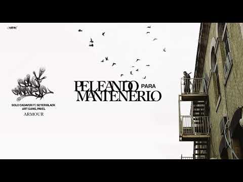 Solo Cadaver - Armour (ft. Seyer B.A.G., PAVEL)