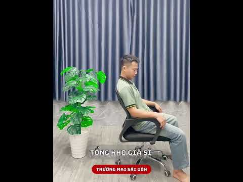 Ghế Xoay Văn Phòng Lưới Lưng Chữ A - GX9