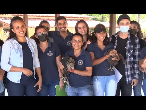 Alunos de Zootecnia participam de aula sobre Galinhas Canela Preta e Rabo de Leque 10 09 2022