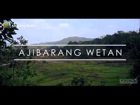 Profil Desa Ajibarang Wetan