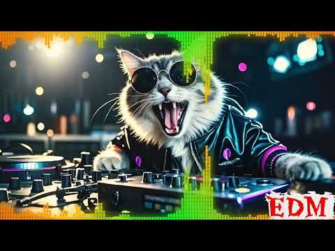 Tomorrowland Mix 2026 - Martin Garrix, Avicii, Nicky Romero,Steve Aoki - Best Remixes & Mashups 2026