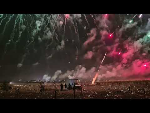 Adelfia San Trifone 2024 🇮🇹 - Senatore.