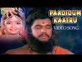 Paadidum Kaatru Video Song | Thanthai Mel Aanai Movie Songs| Arjun, Bhavya | Mayil Music