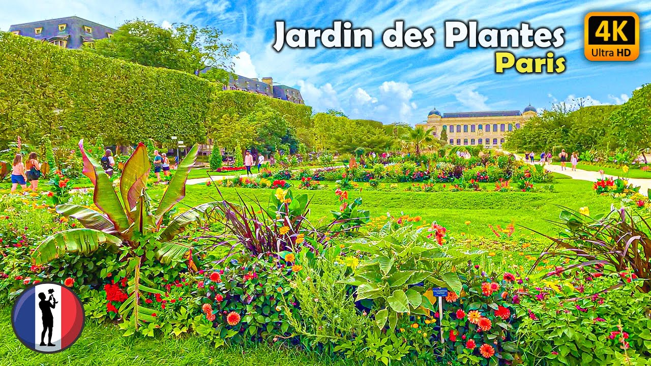 The serene beauty of Jardin des Plantes invites exploration among exotic plants and medicinal gardens.