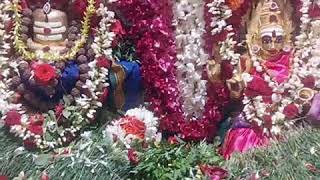 preview picture of video 'ஶ்ரீ தாண்டேஸ்வரர் ஆலயம் மேல்மலையனூர்'