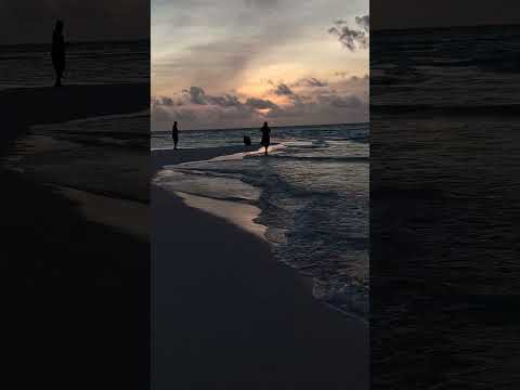 Beach day in Maldives #song #music #youtubeshorts #shorts #sreelakshmi #maldives