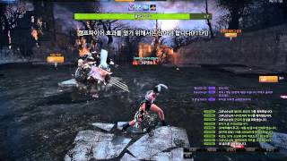 [테스트서버] 듀얼 블레이드 로드 노멀 솔플...