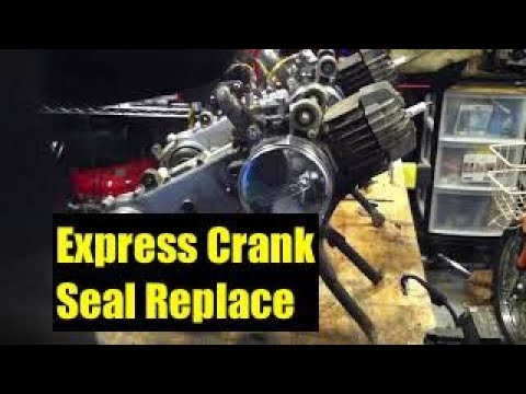 Honda Express nc50 Crankshaft Bearing Seal Replacement