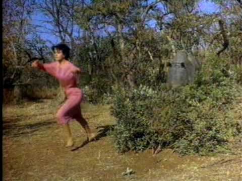 The Gods Must Be Crazy II